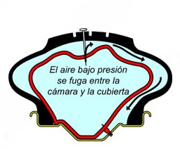 با لوله